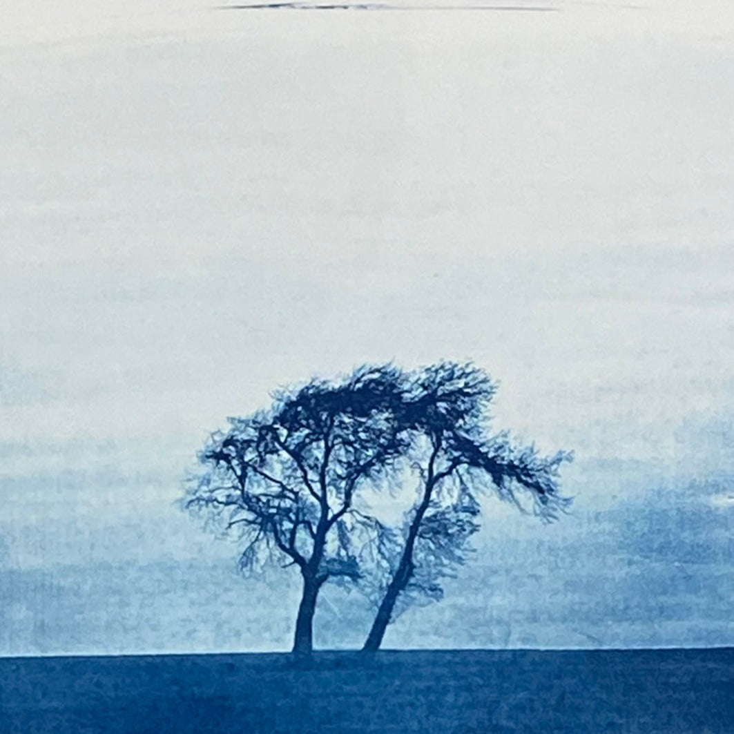 Arbres à l'horizon - Youssef Amghar - (Selection 22.11.2024)