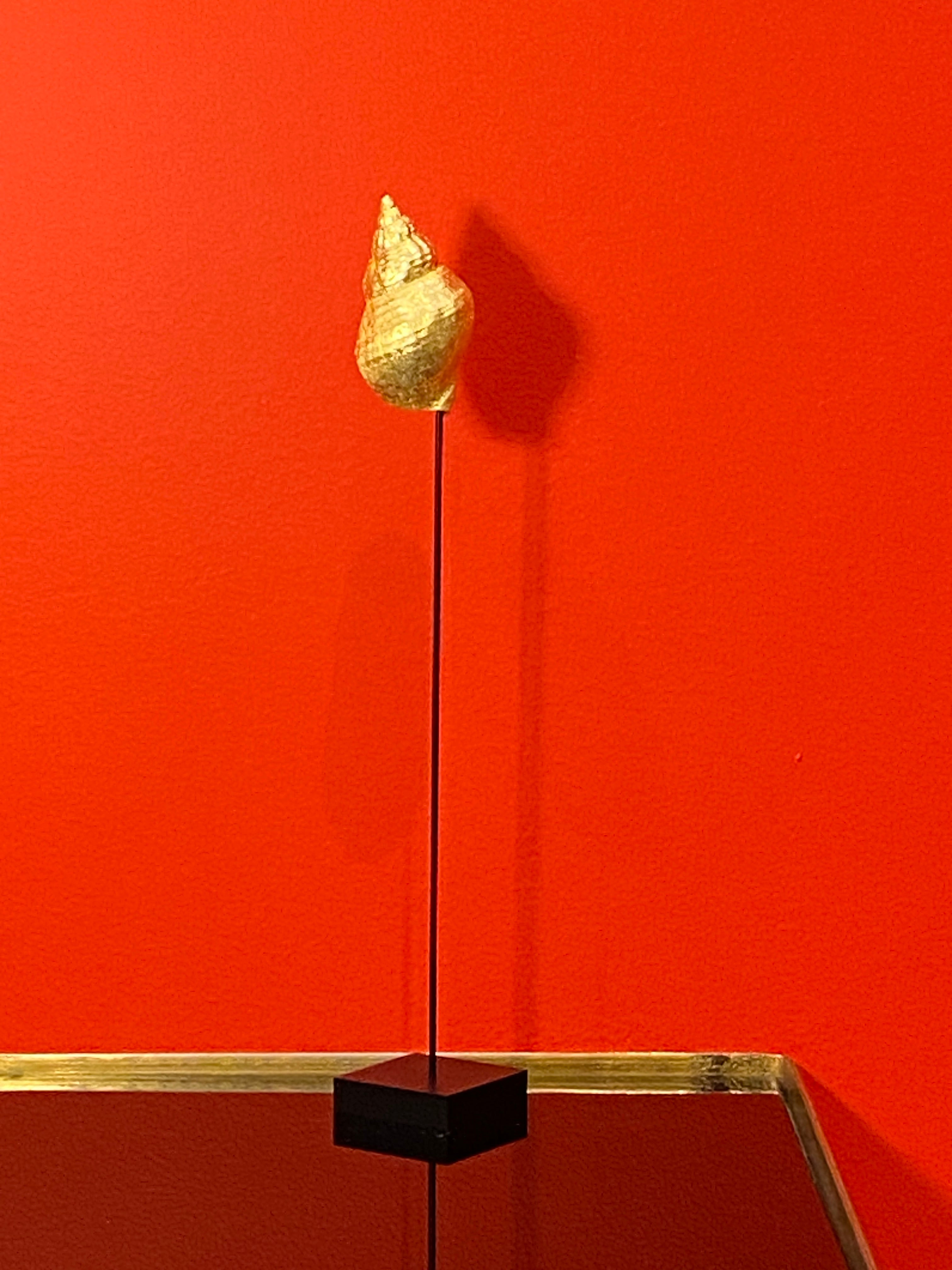 Return from place 1 - Aurore Lahoud Davezac