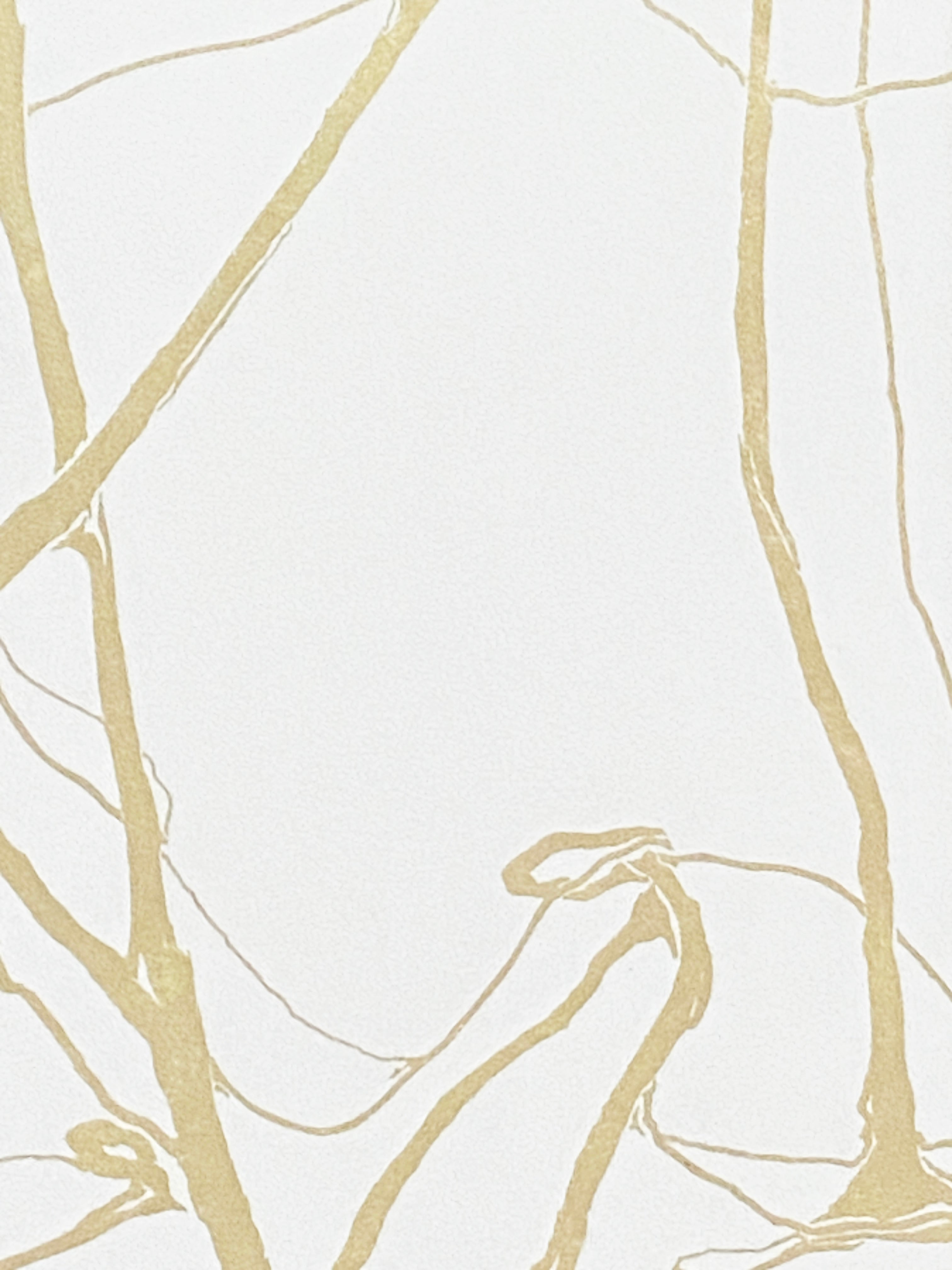 La Nature Reprend ses Droits - Aurore Lahoud Davezac