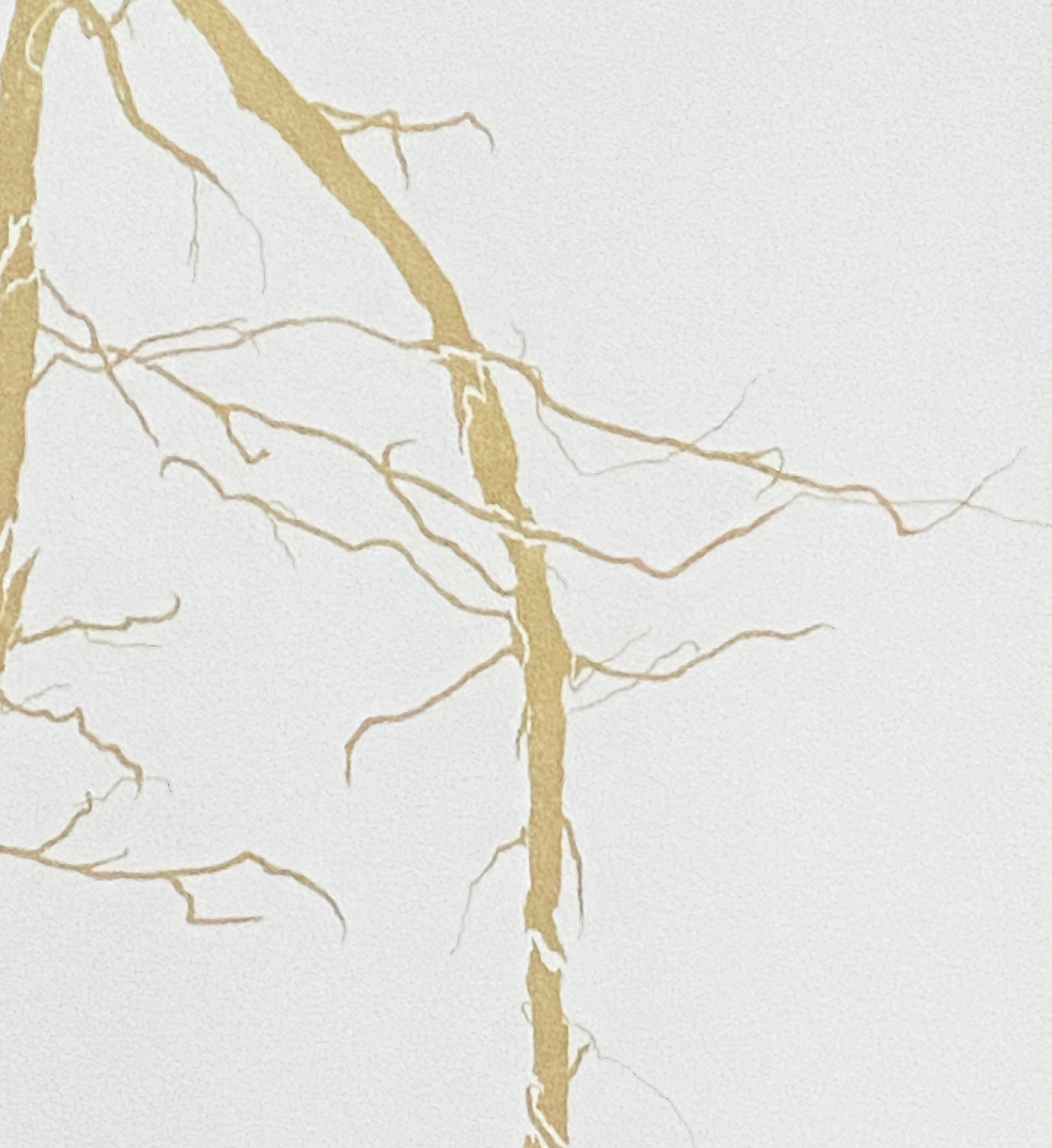 En suspension - Aurore Lahoud Davezac