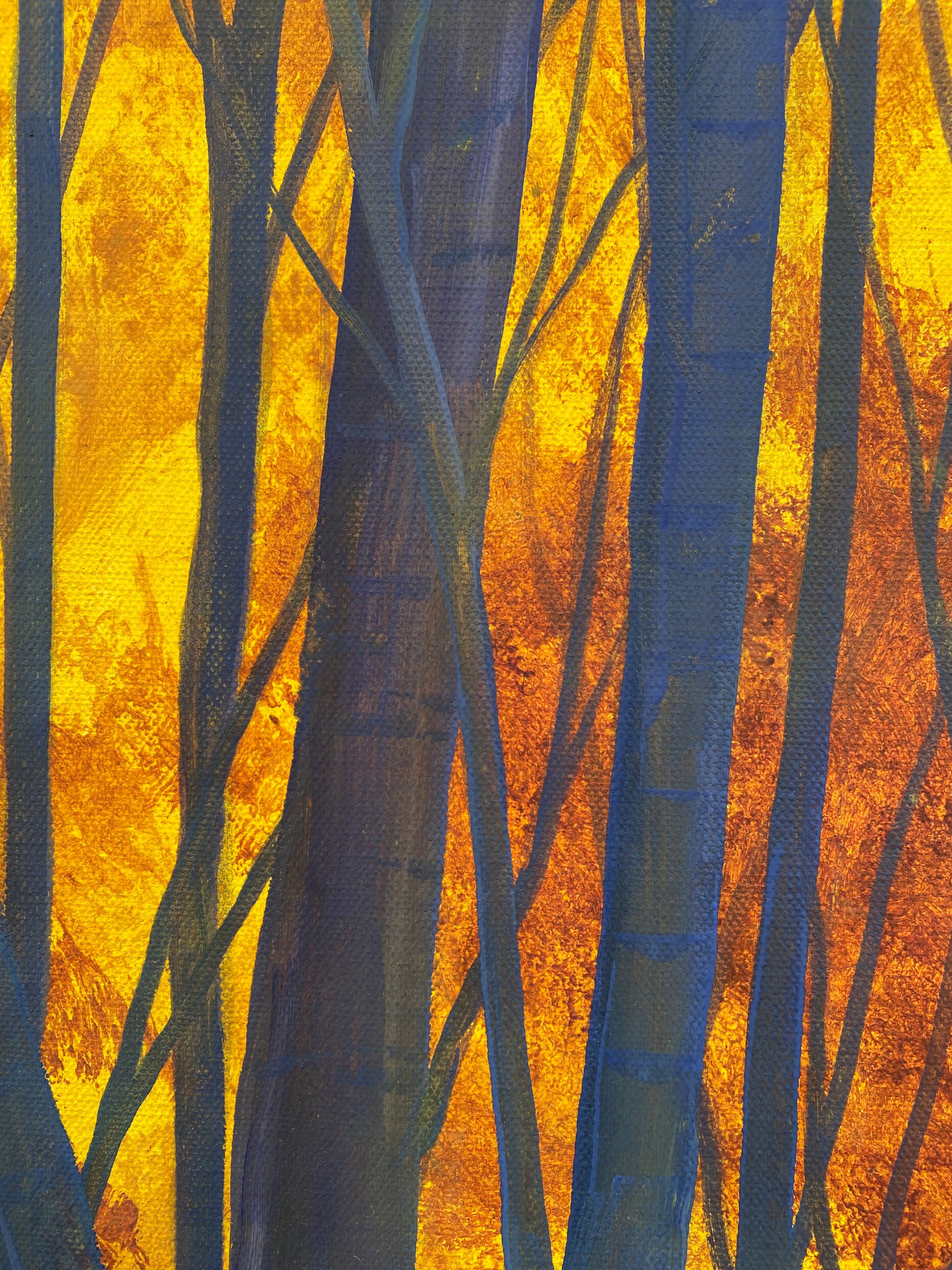Forêt en feu - Florence Penicaud