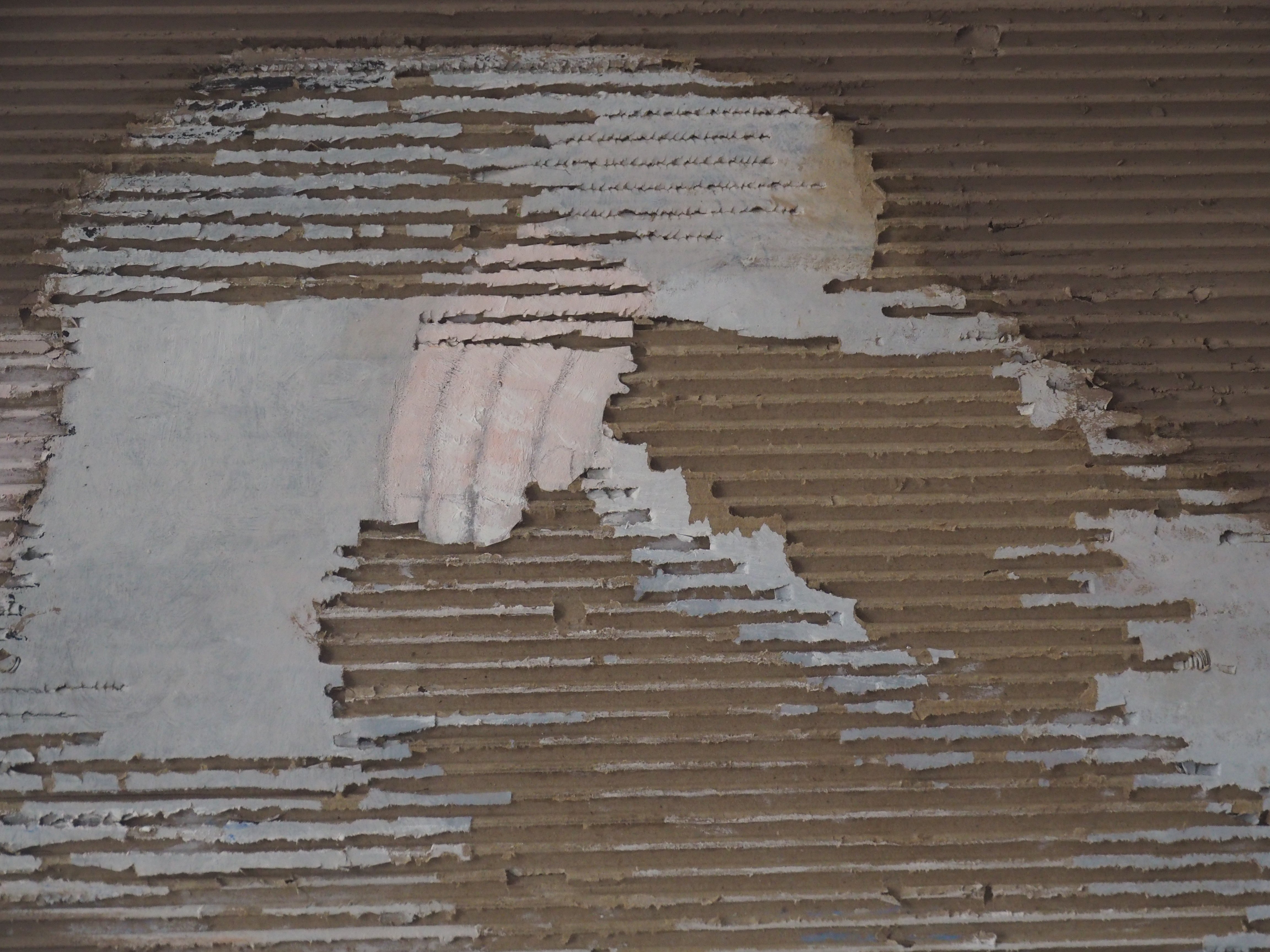 Dreamer - Marie-Laurence Lamy