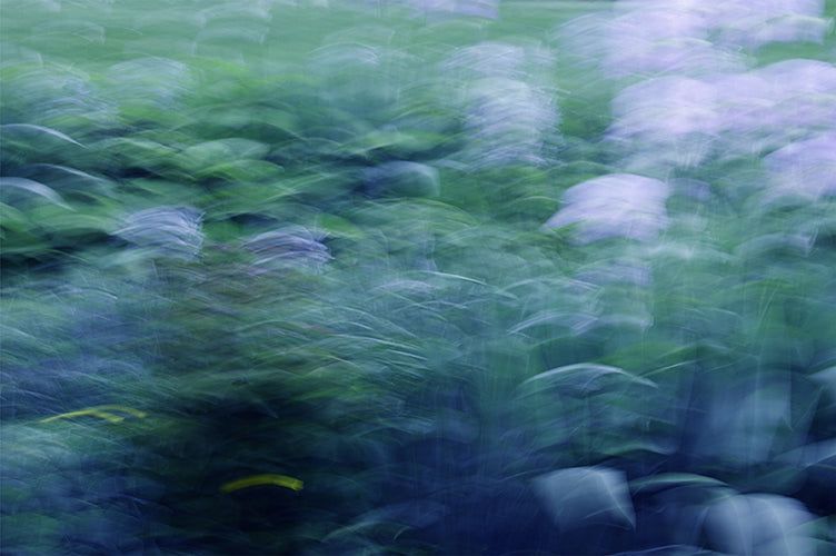 “Like a painting” series #1 - Sophie Tolachides
