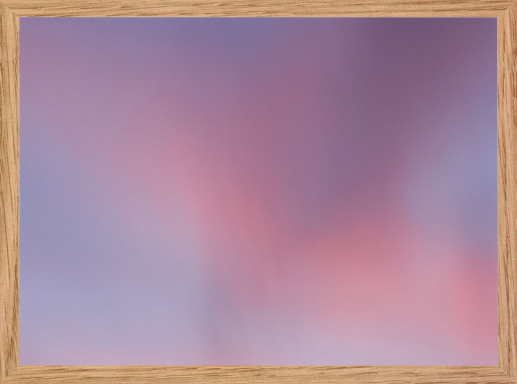 “Electric Window” Series #3 - Sophie Tolachides