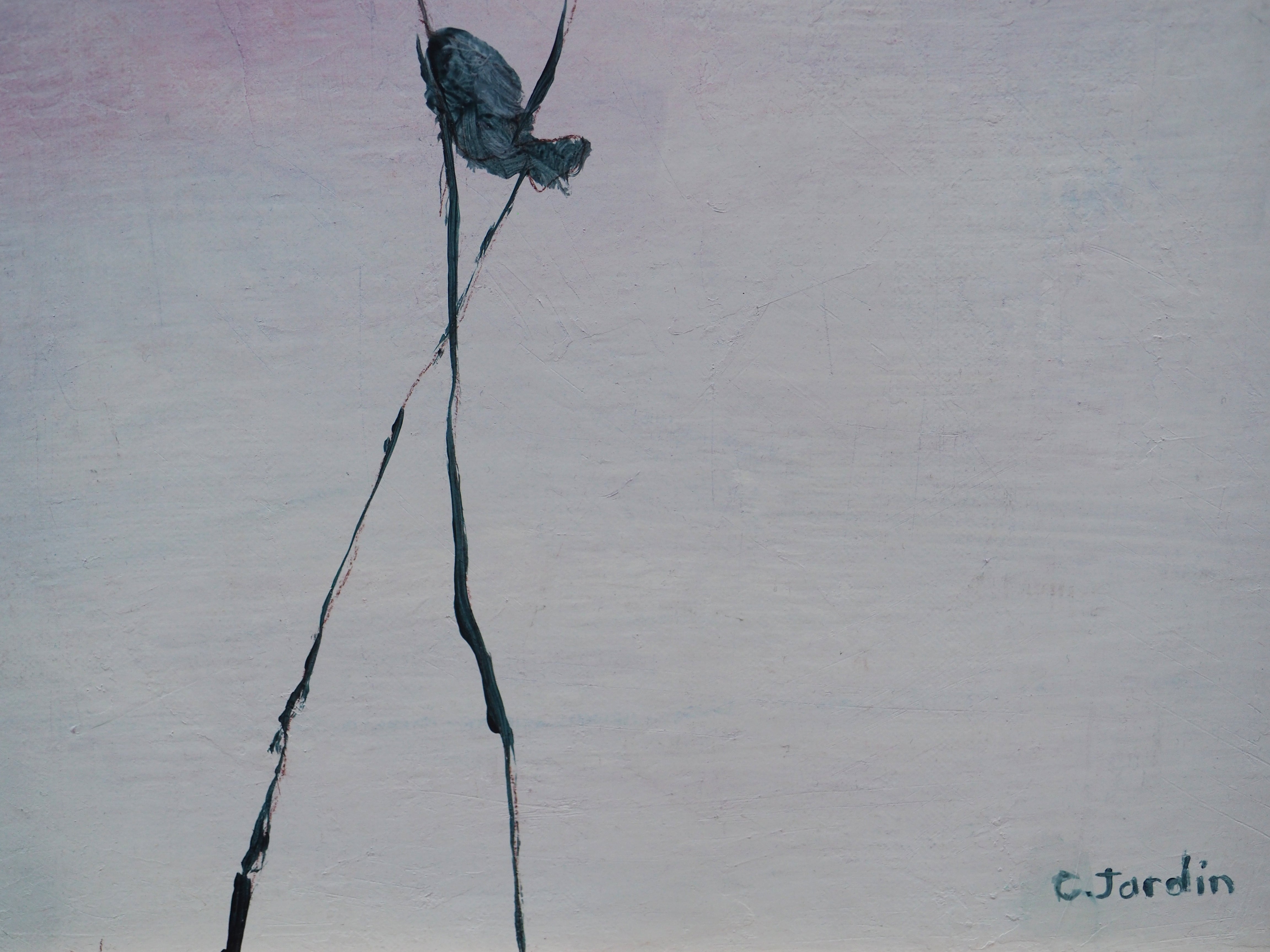 En vol - Caroline Jardin