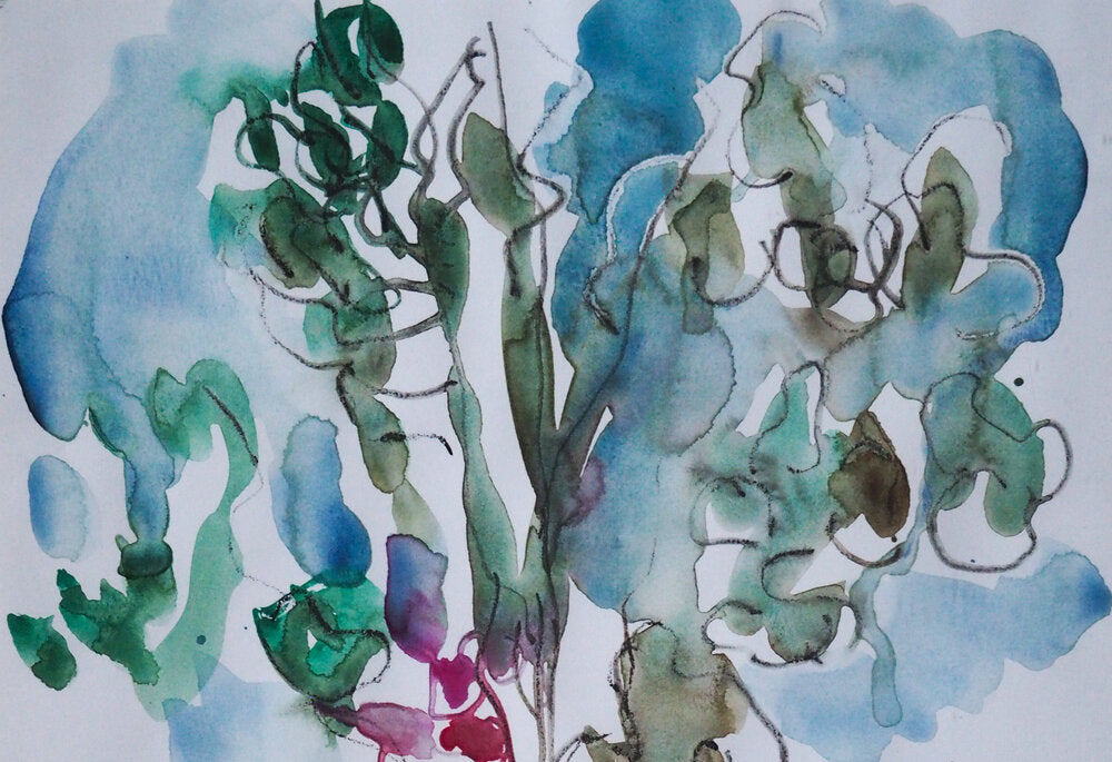 Jardin - Hélène Krief