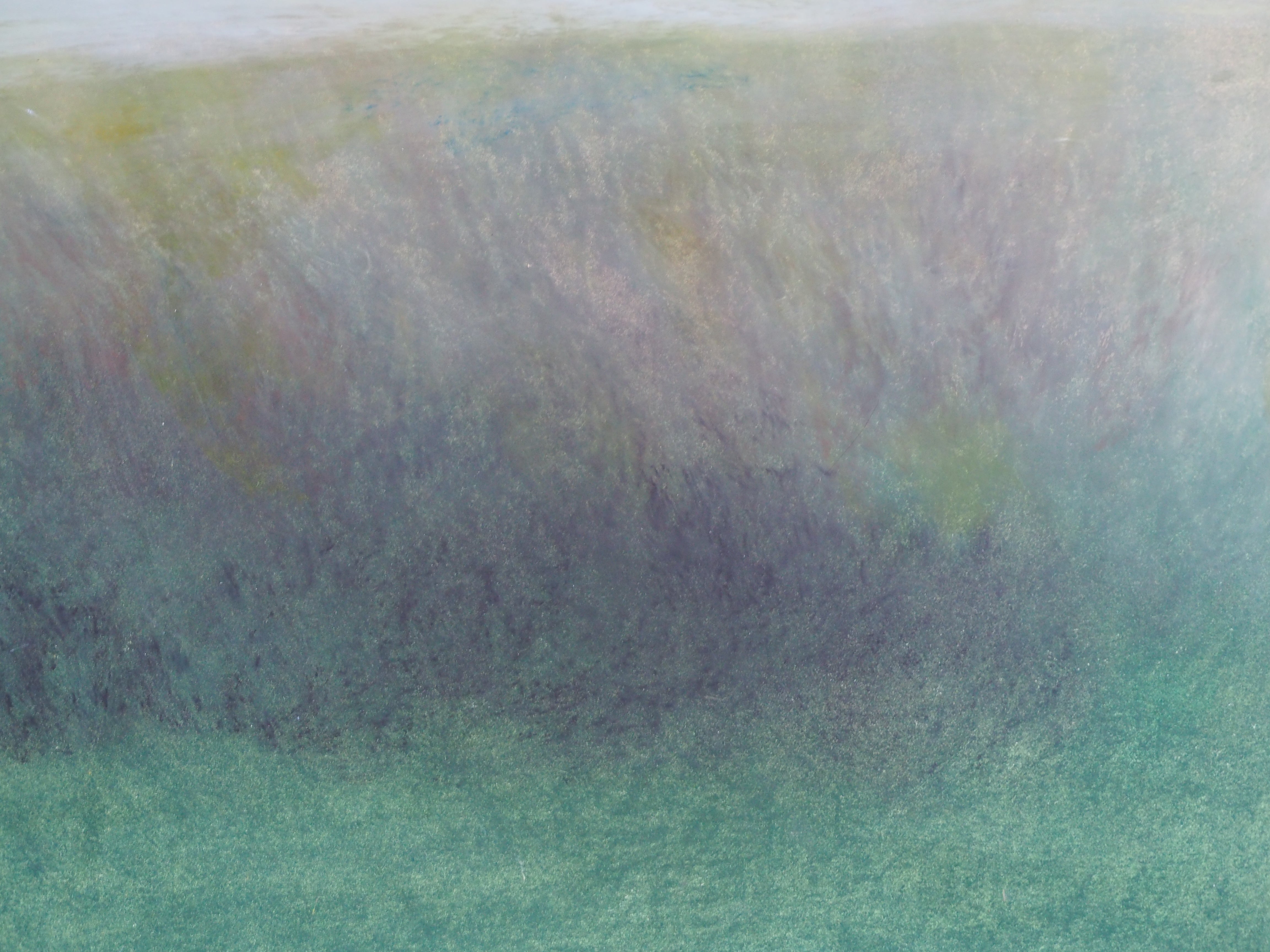 Cosmologies 5 - Dominique Jeanne Benguigui