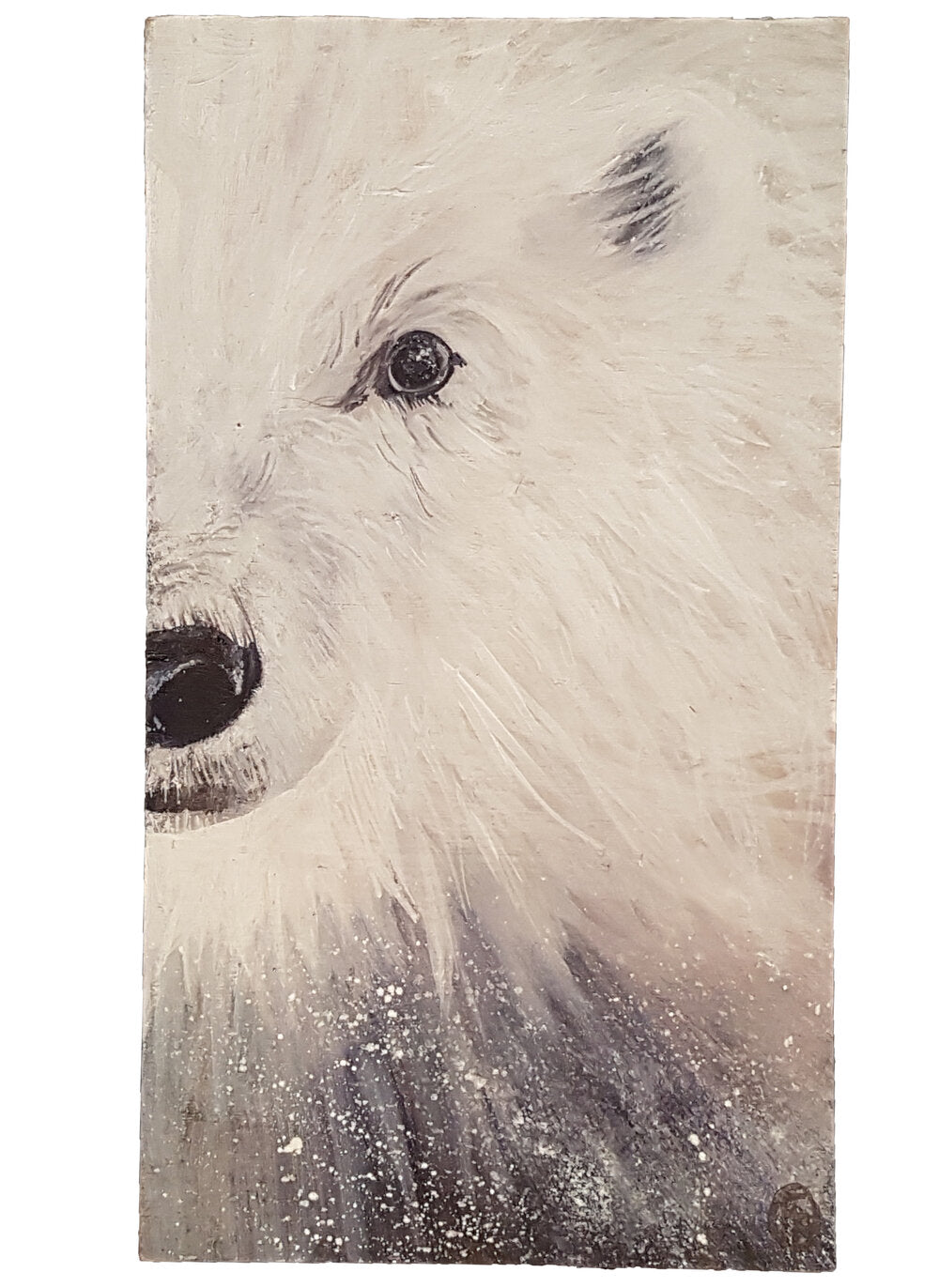 Curious - Florence Pénicaud