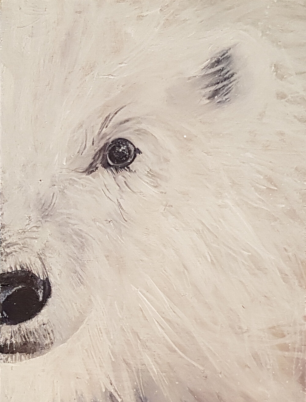 Curious - Florence Pénicaud