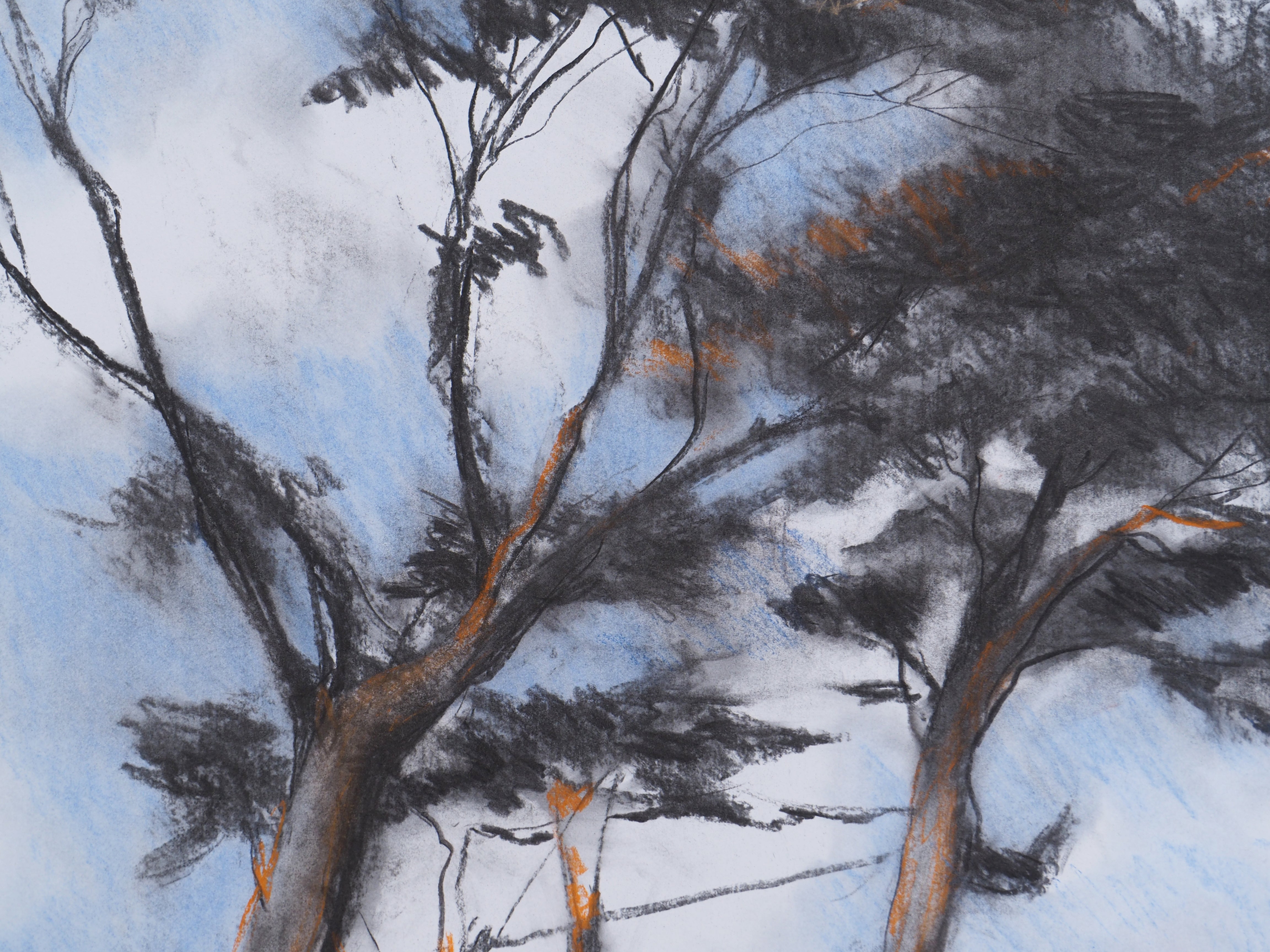 Man Ray's pines in Guethary - Caroline Jardin