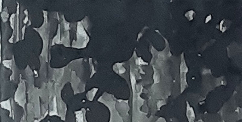 Window on Nature - Grégoire Jobbé-Duval