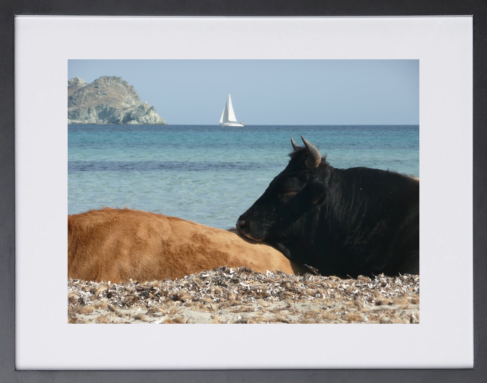 Bovine Rest - Esther