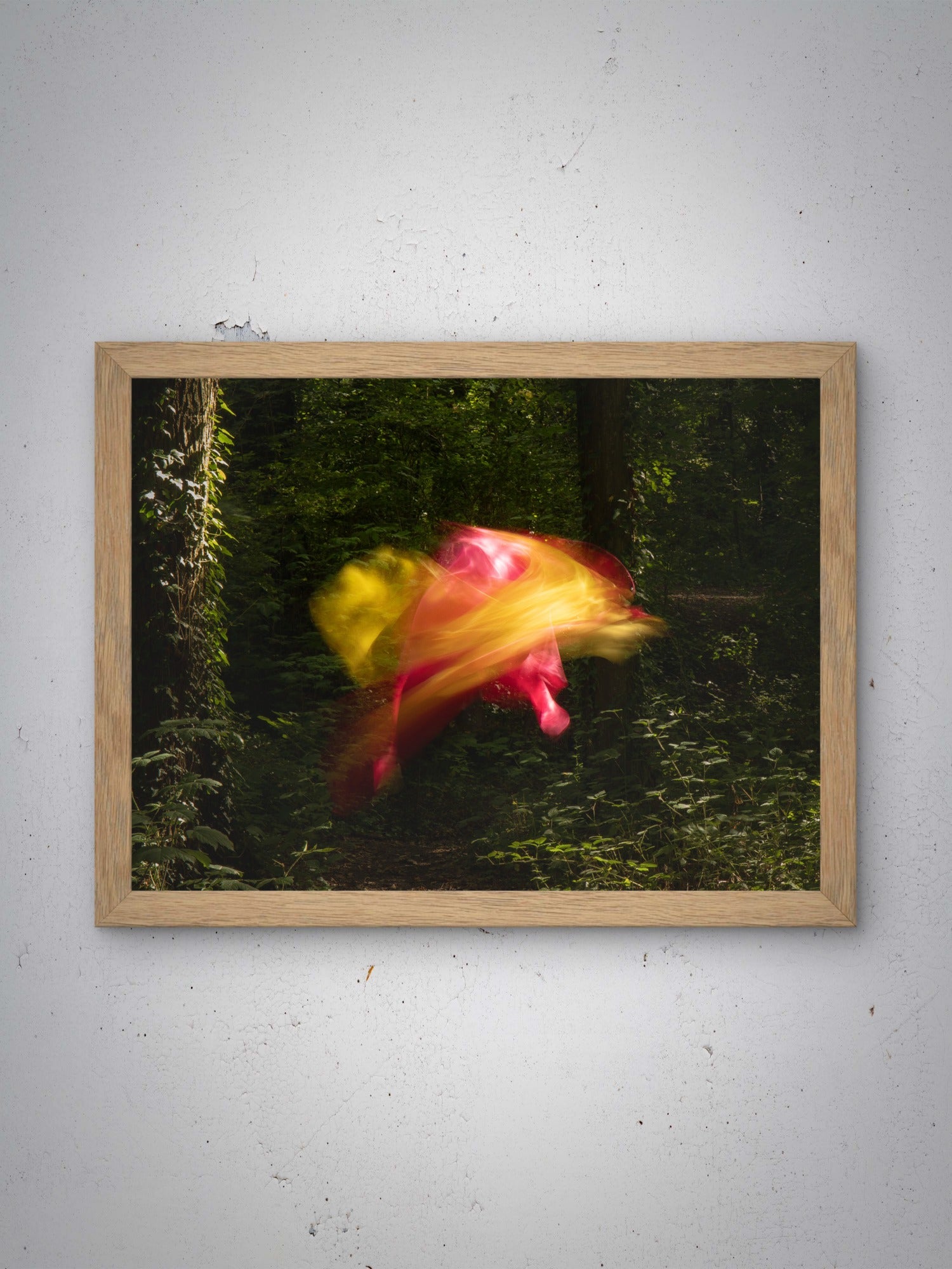 Transcendences V - FE