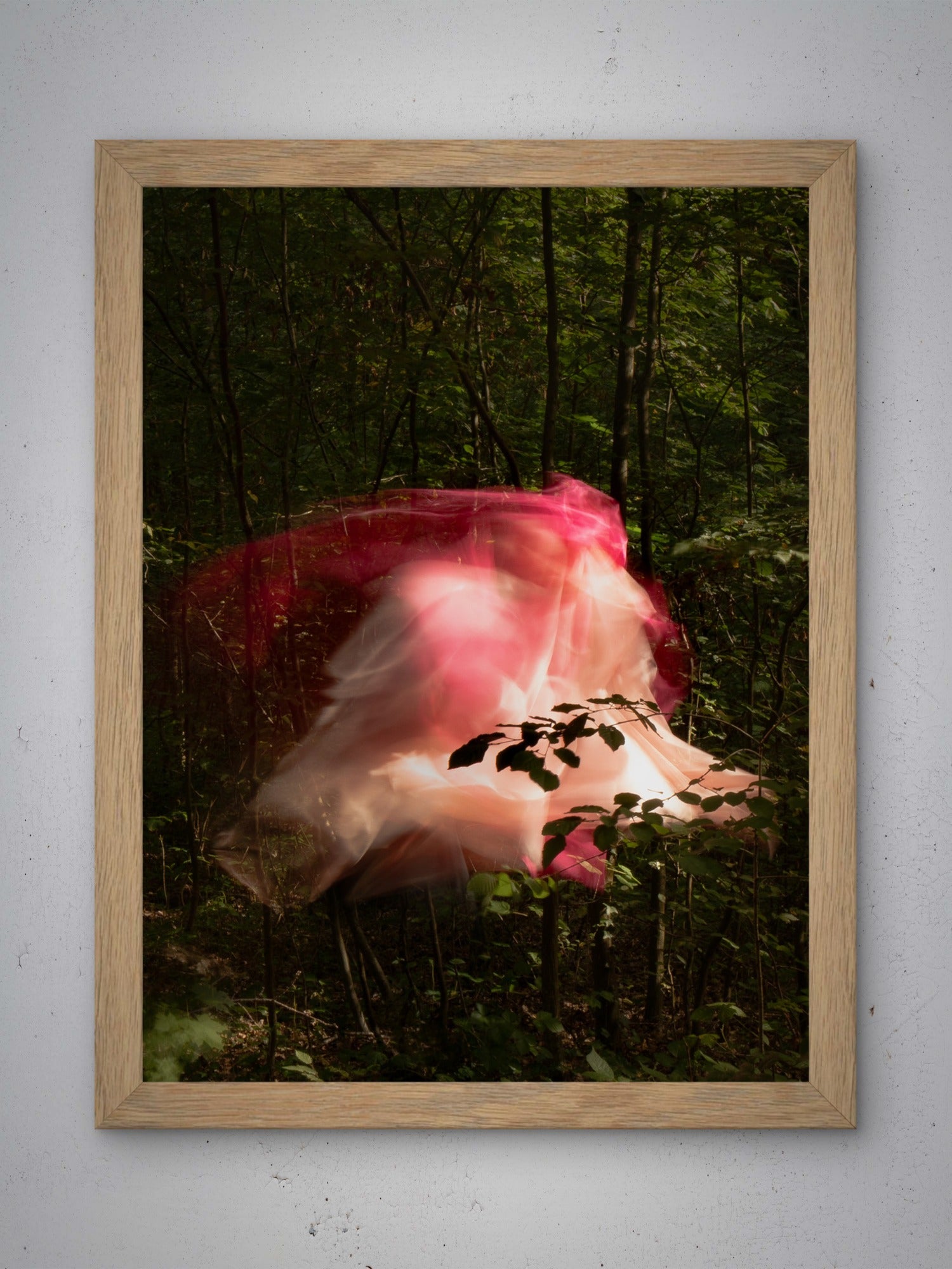 Transcendences V - FE