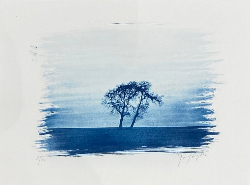 Trees on the Horizon - Youssef Amghar - (Selection 22.11.2024)