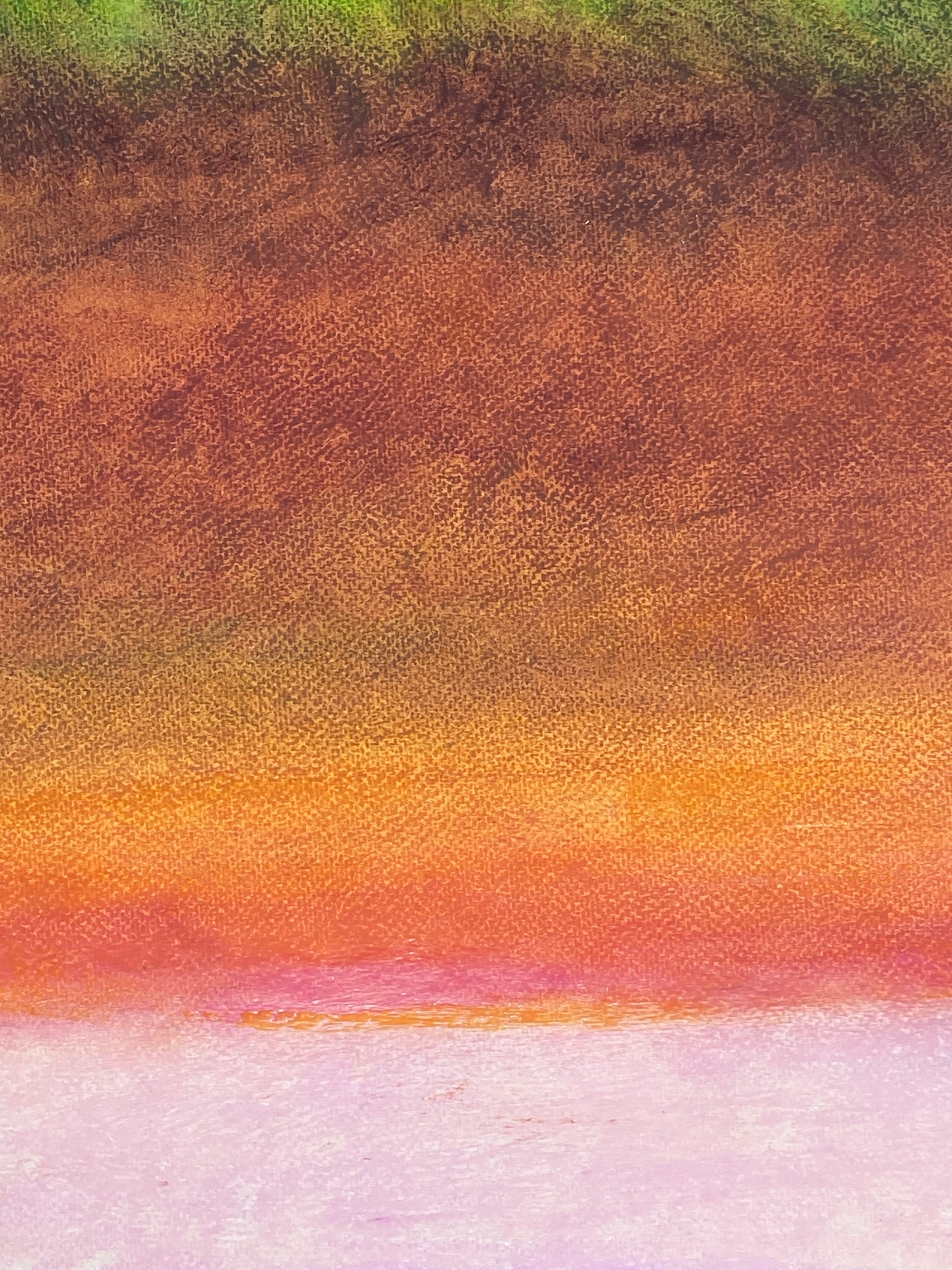 Dominique Jeanne Benguigui - Amazonia - The Songs of Dreams