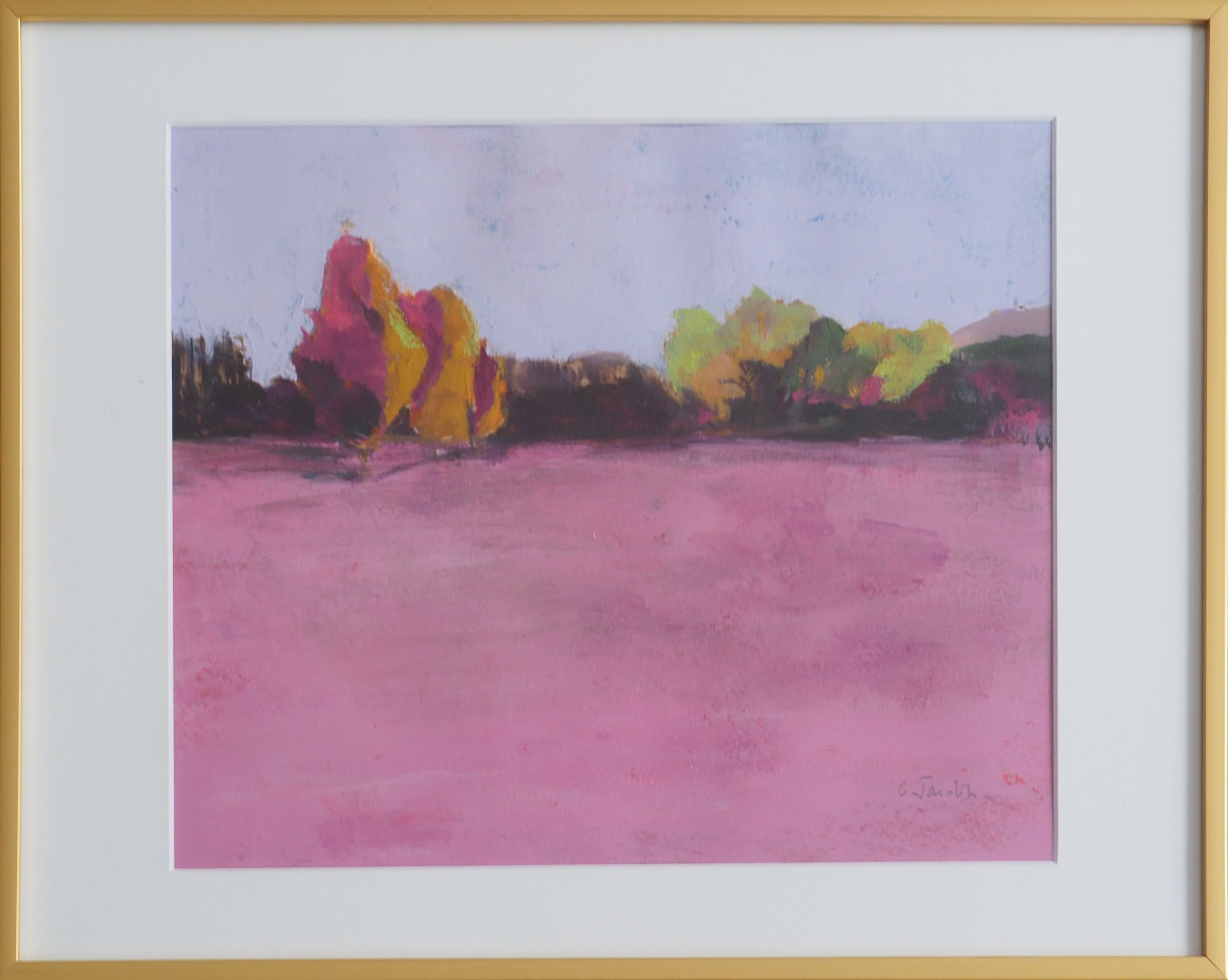 Jardin Rose 1 - Caroline Jardin