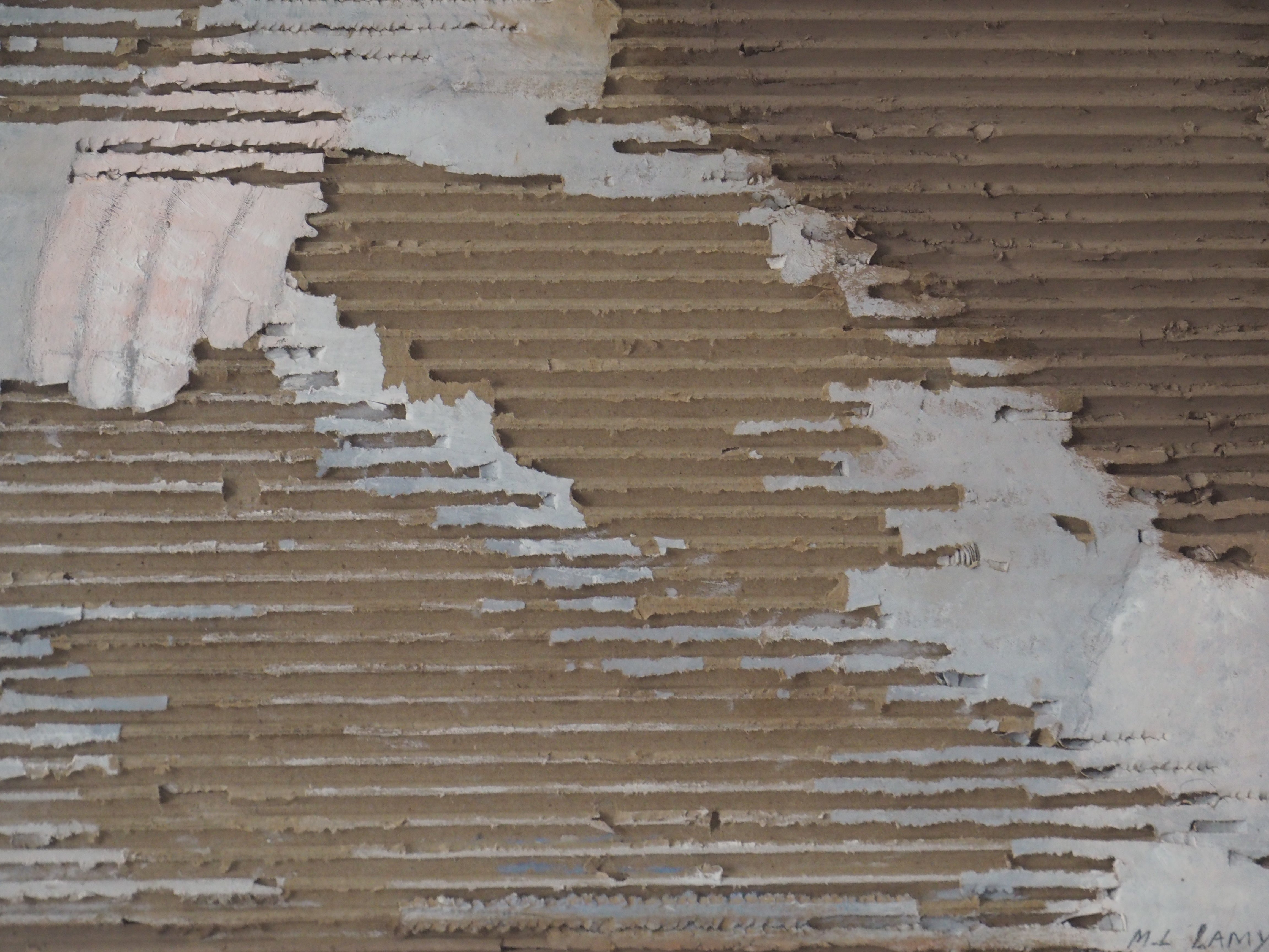 Dreamer - Marie-Laurence Lamy 