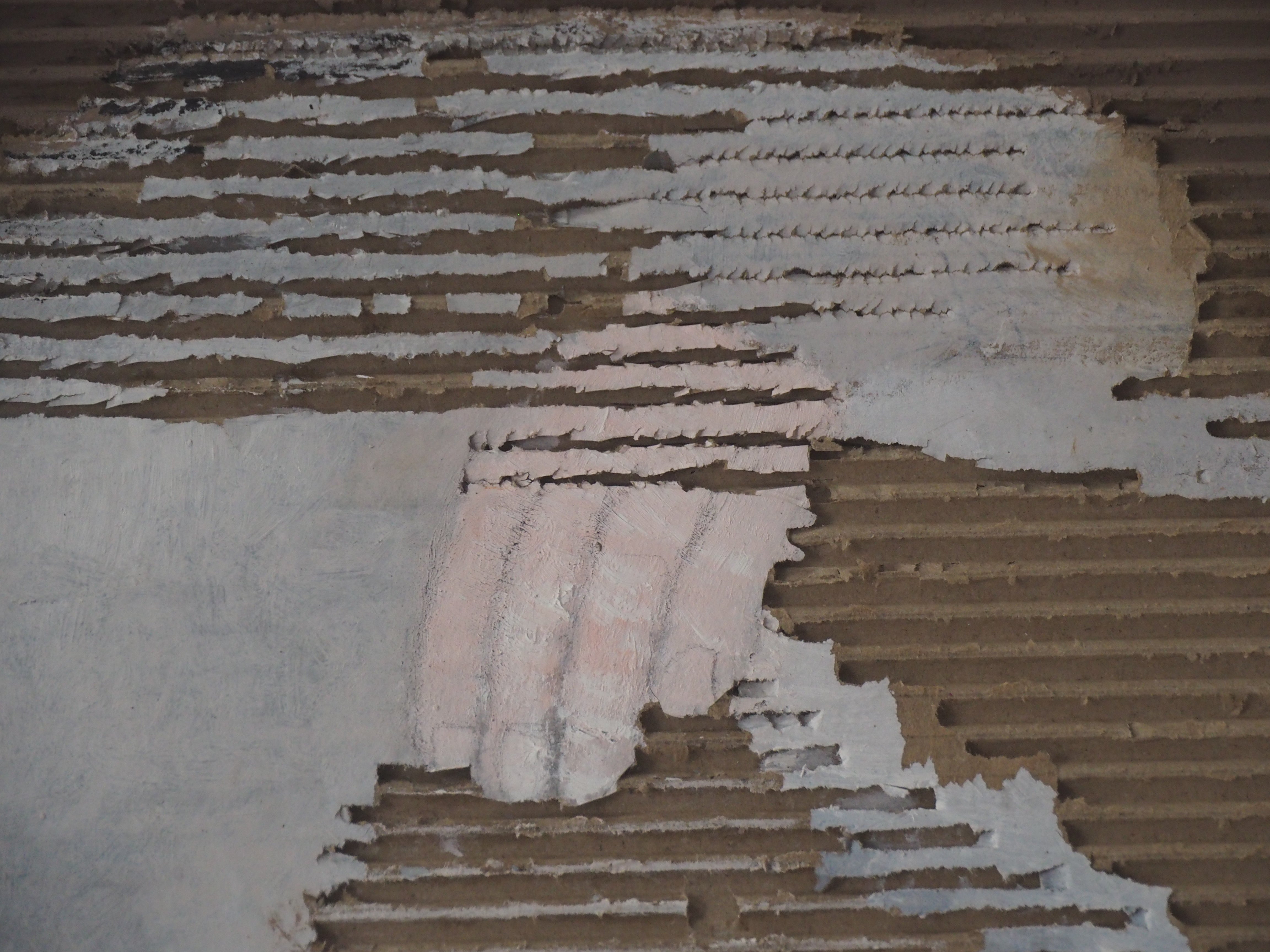 Dreamer - Marie-Laurence Lamy 