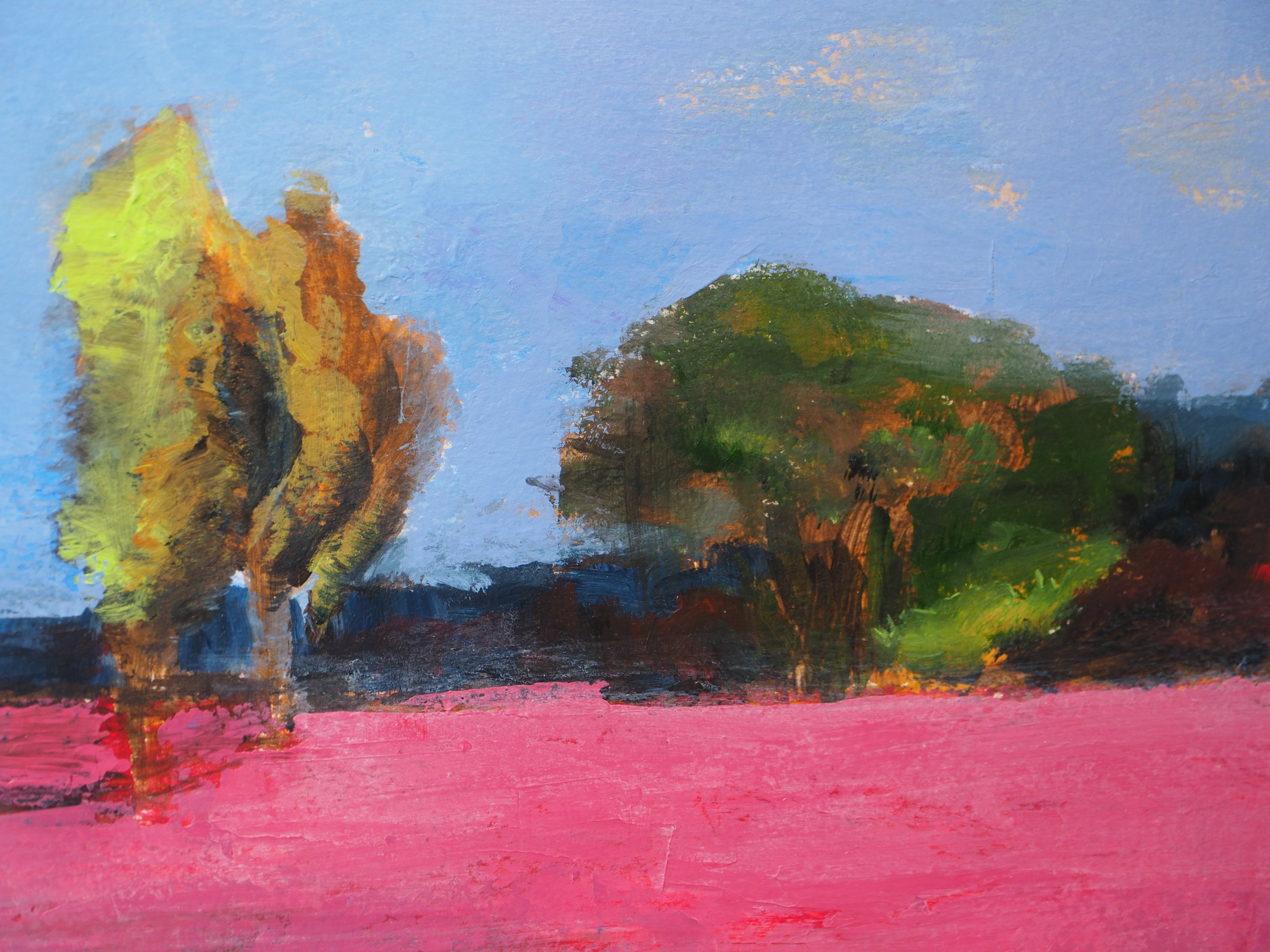 Jardin Rose 2 - Caroline Jardin