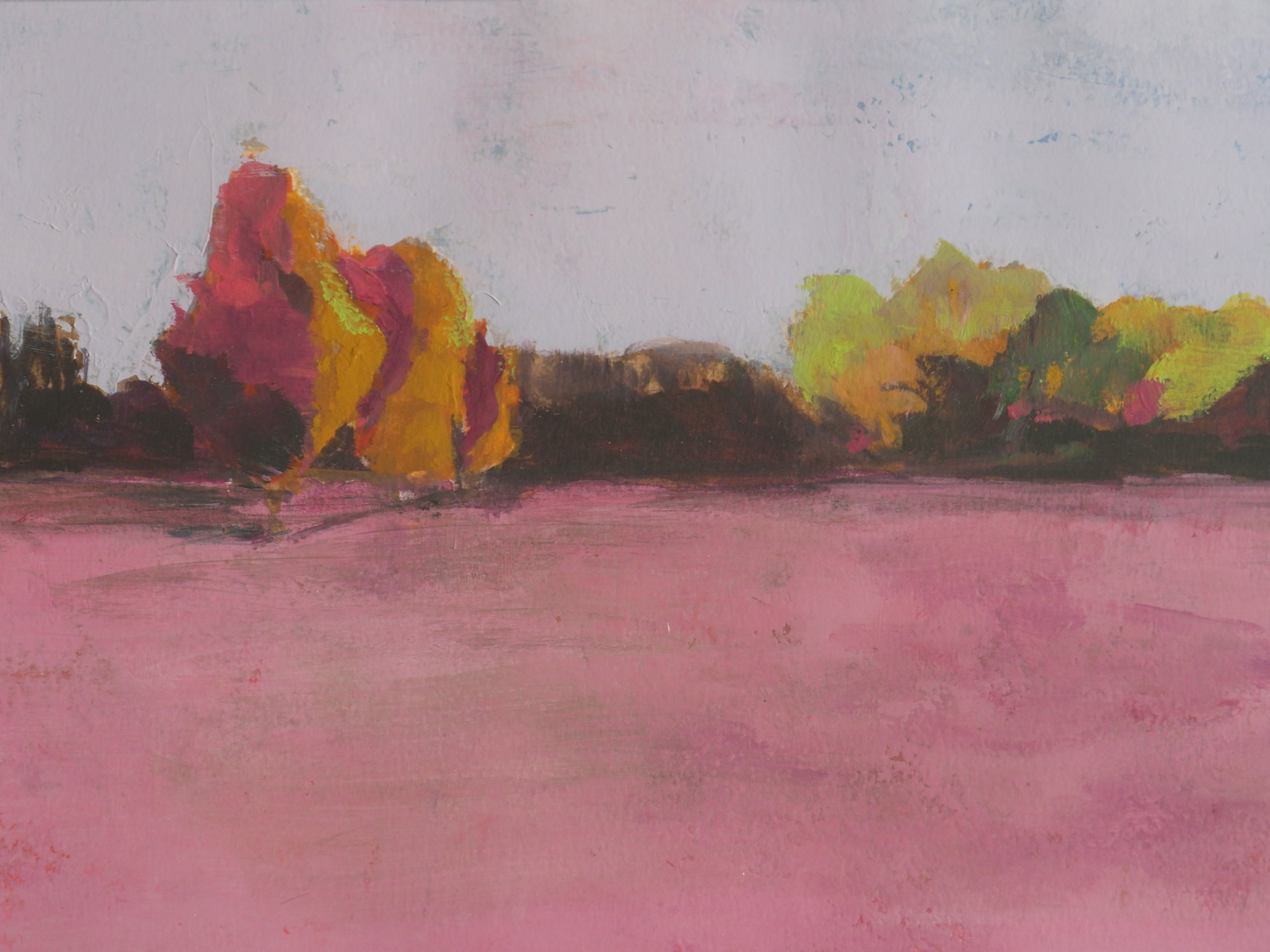 Jardin Rose 1 - Caroline Jardin