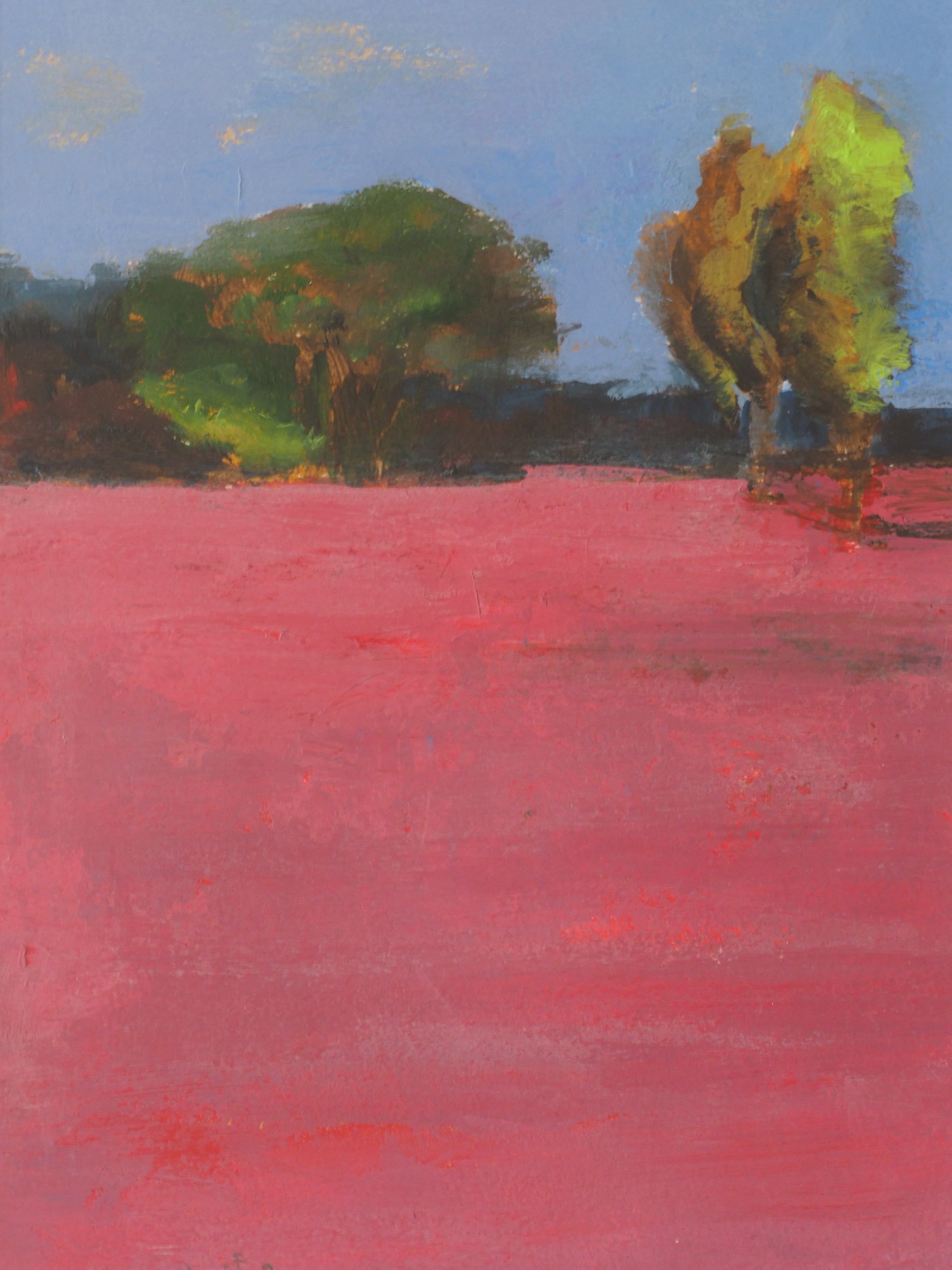 Jardin Rose 2 - Caroline Jardin