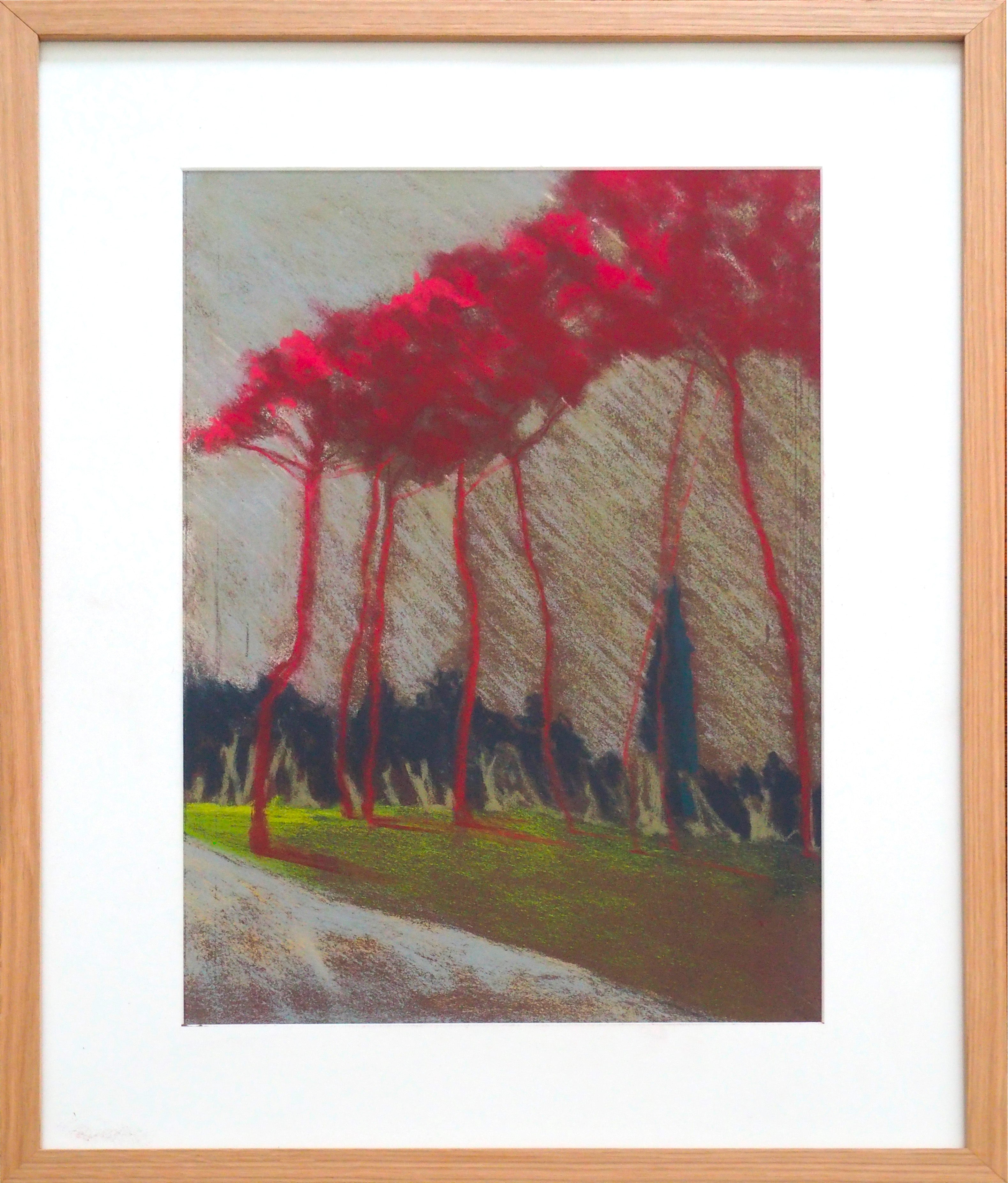 Red Pines 1 - Caroline Jardin 