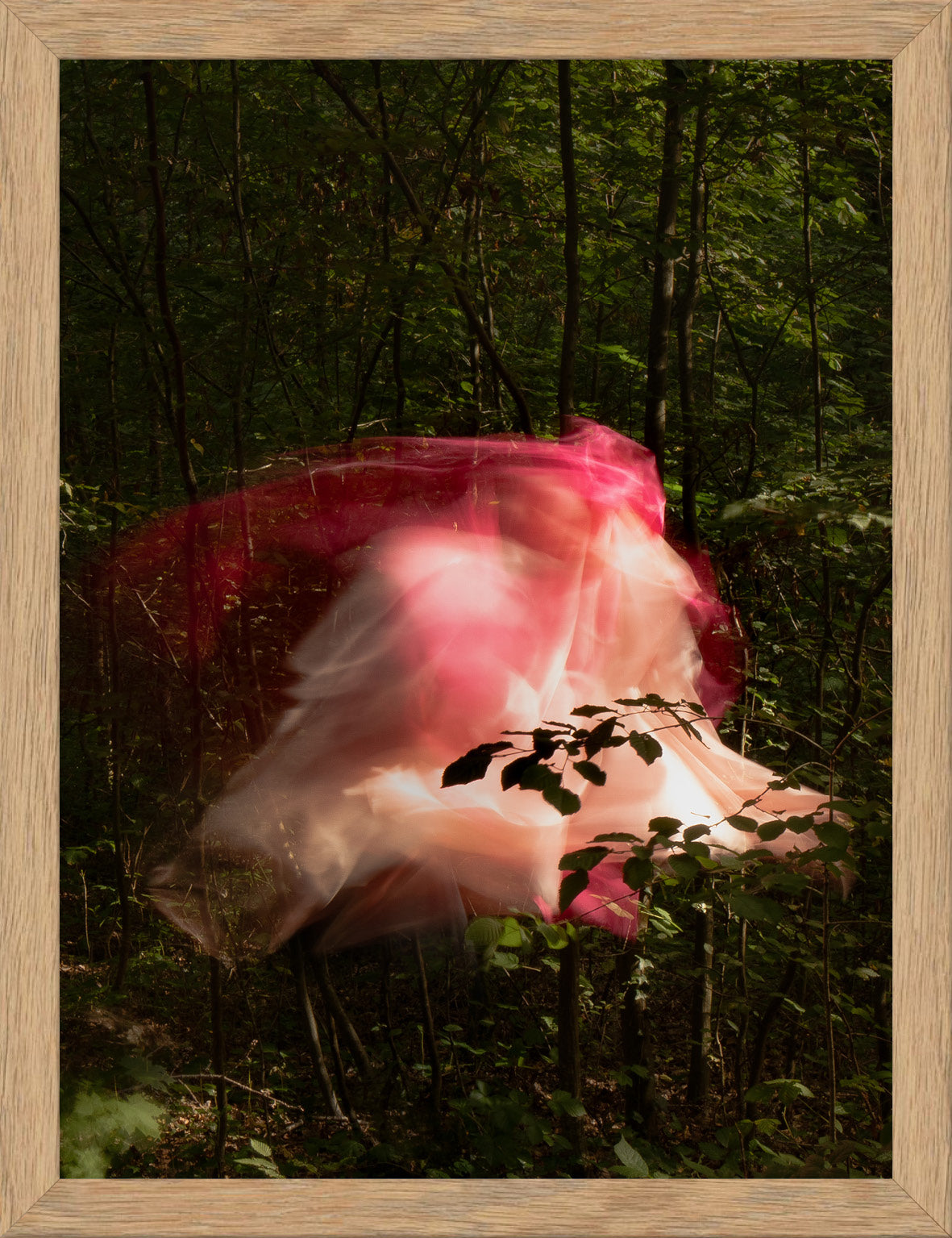 Transcendences V - FE