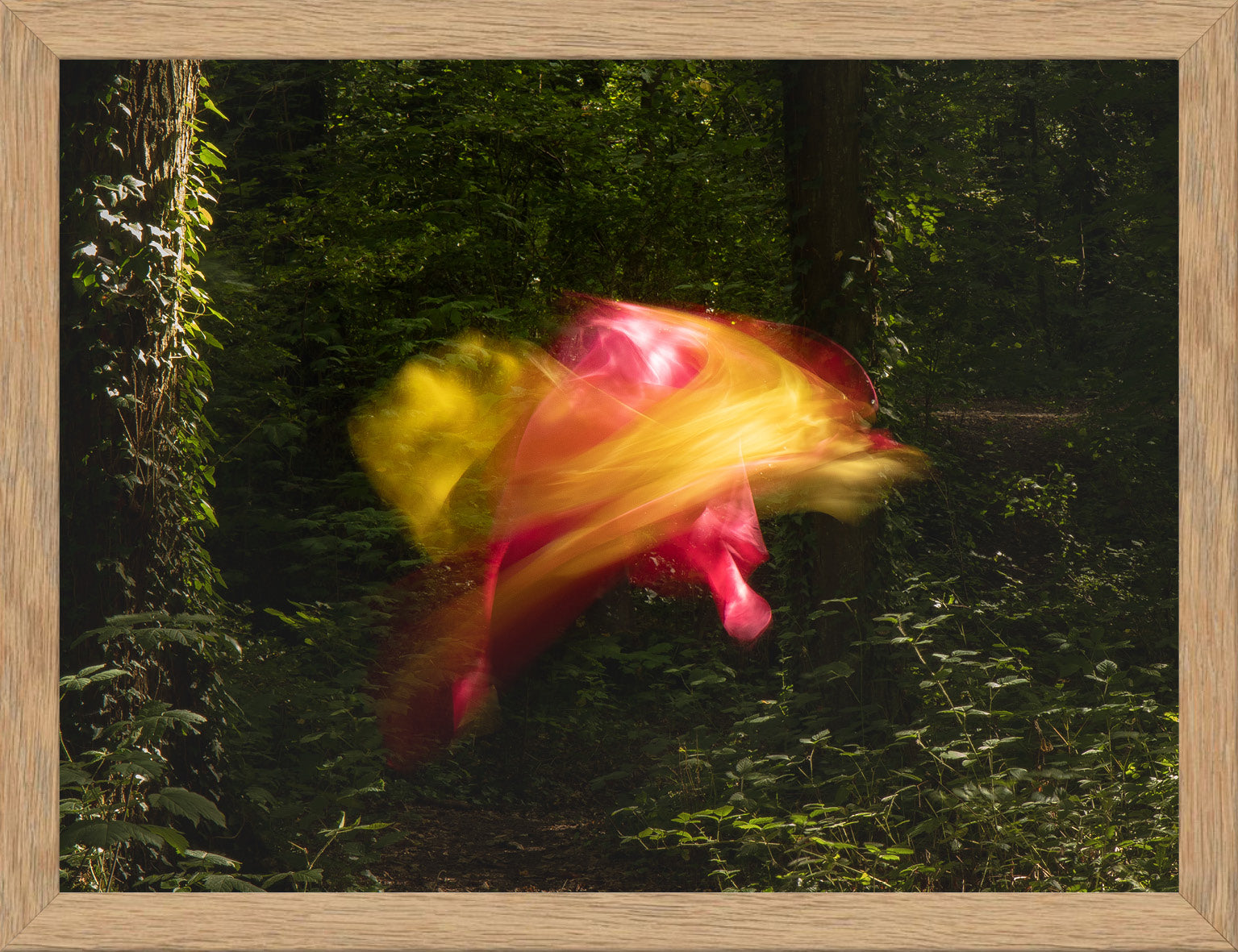 Transcendences V - FE