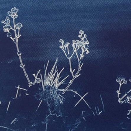 Twigs - Youssef Amghar