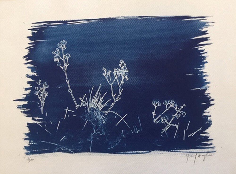 Twigs - Youssef Amghar
