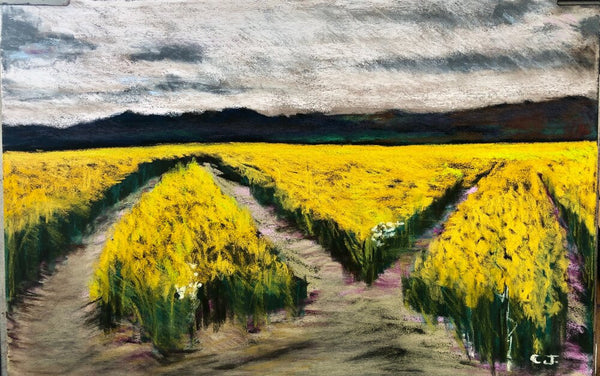 The fields - Caroline Jardin