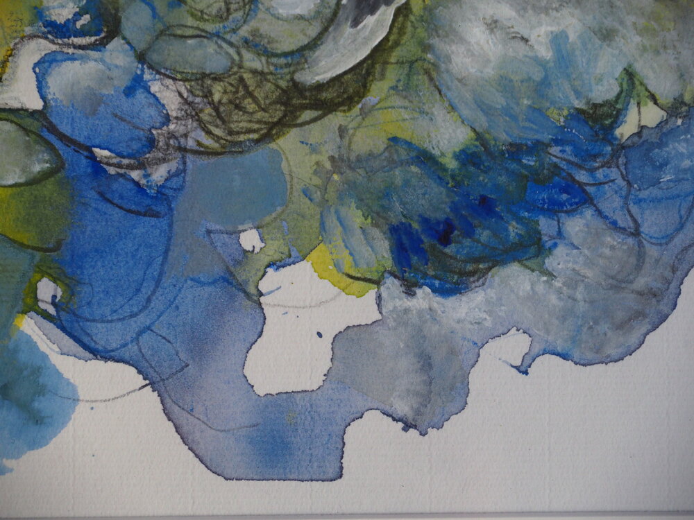 Lichen - Hélène Krief