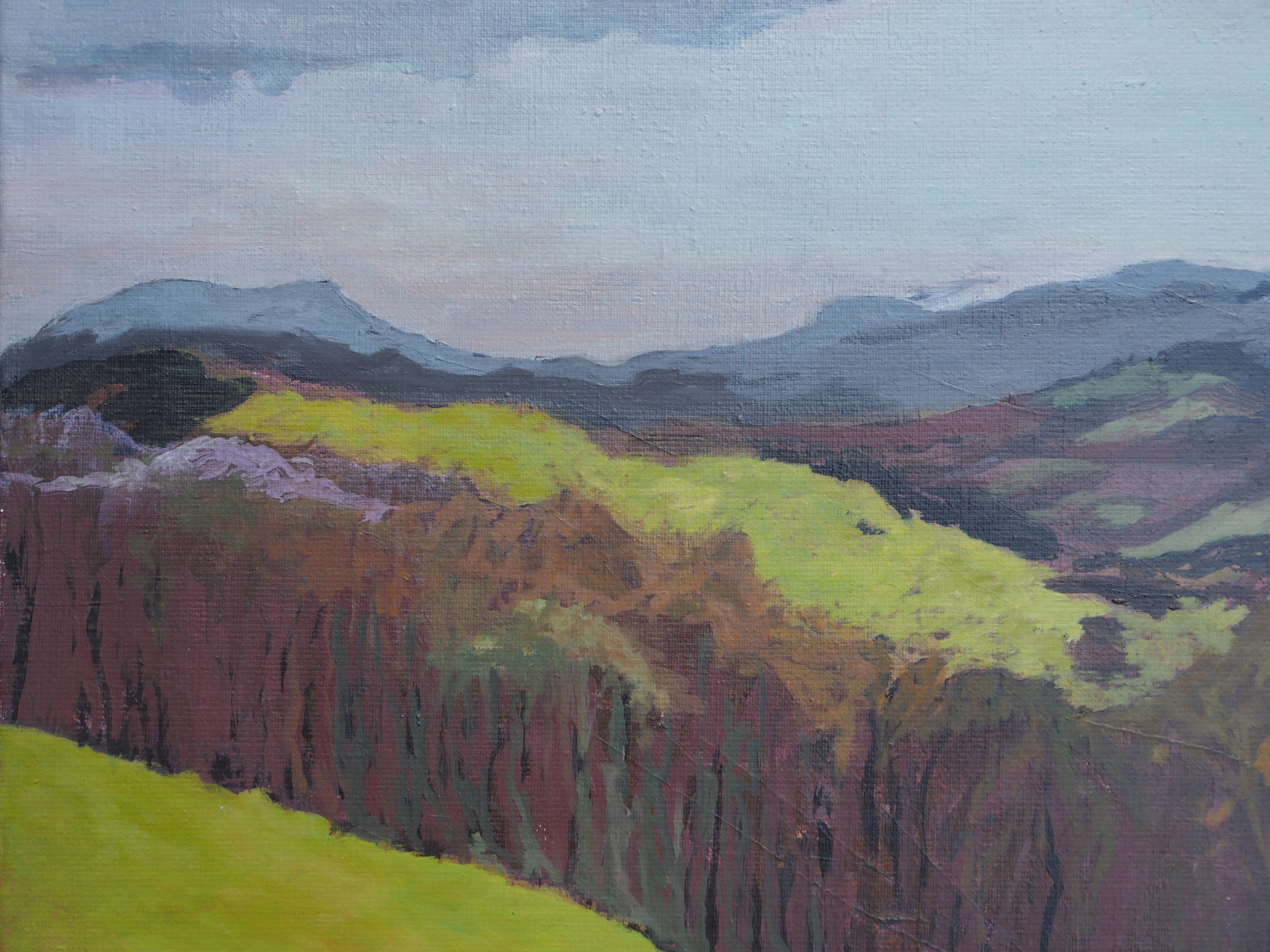 Zugarramurdi - Caroline Garden 