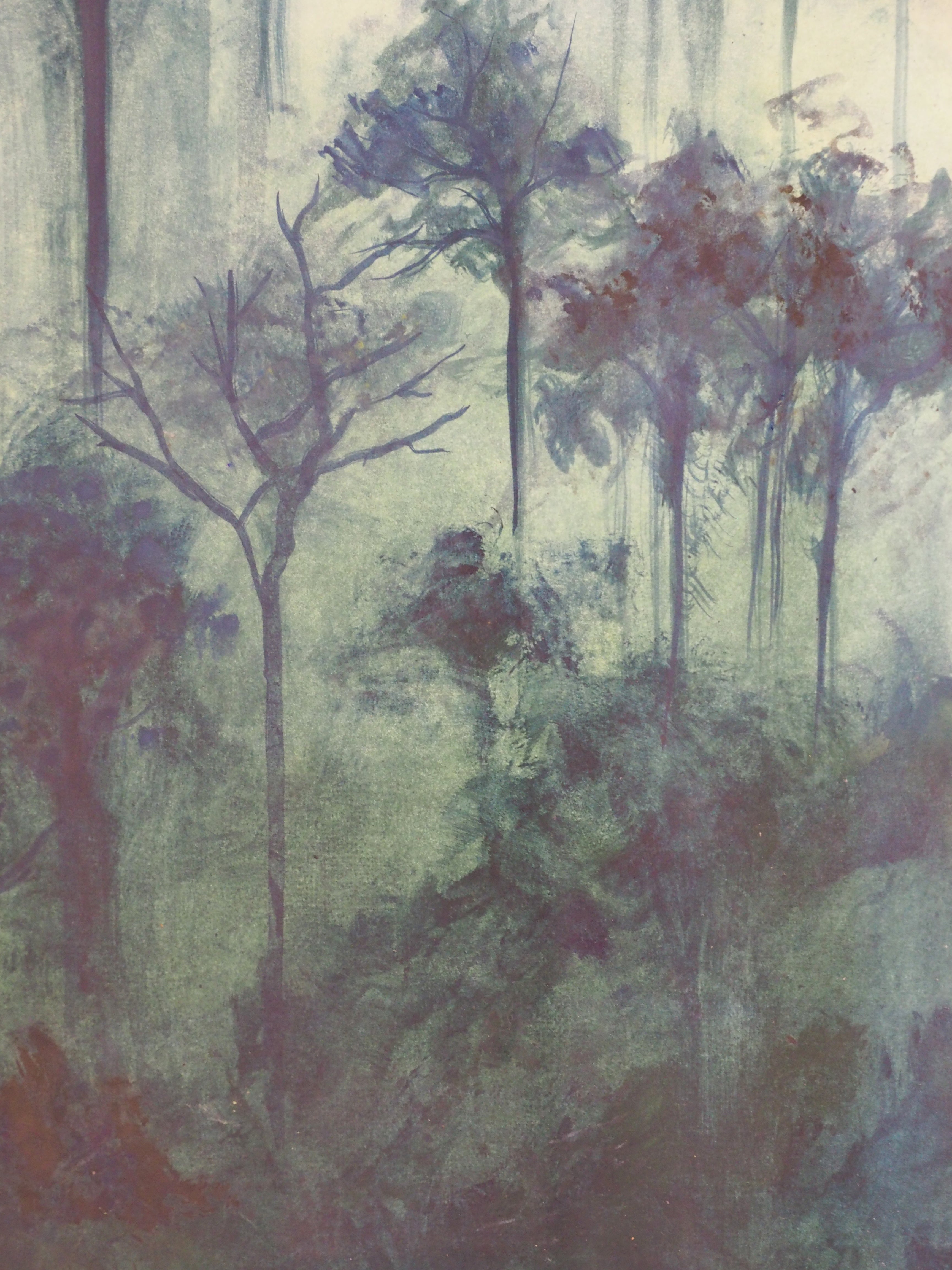 Amazon - Florence Penicaud - forest triptych 