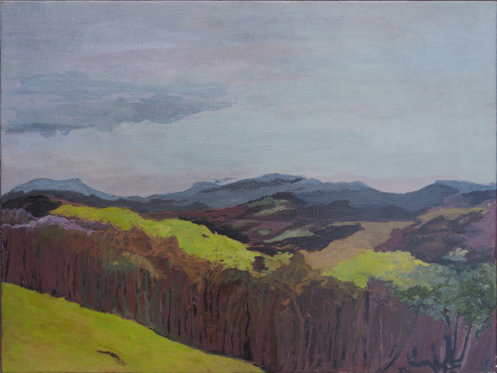 Zugarramurdi - Caroline Garden 