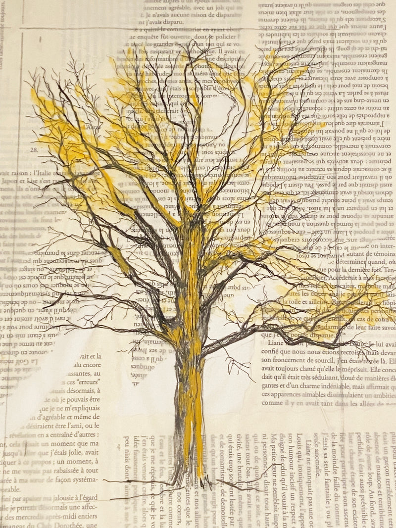 Caroline Jardin - Limousin Tree II 