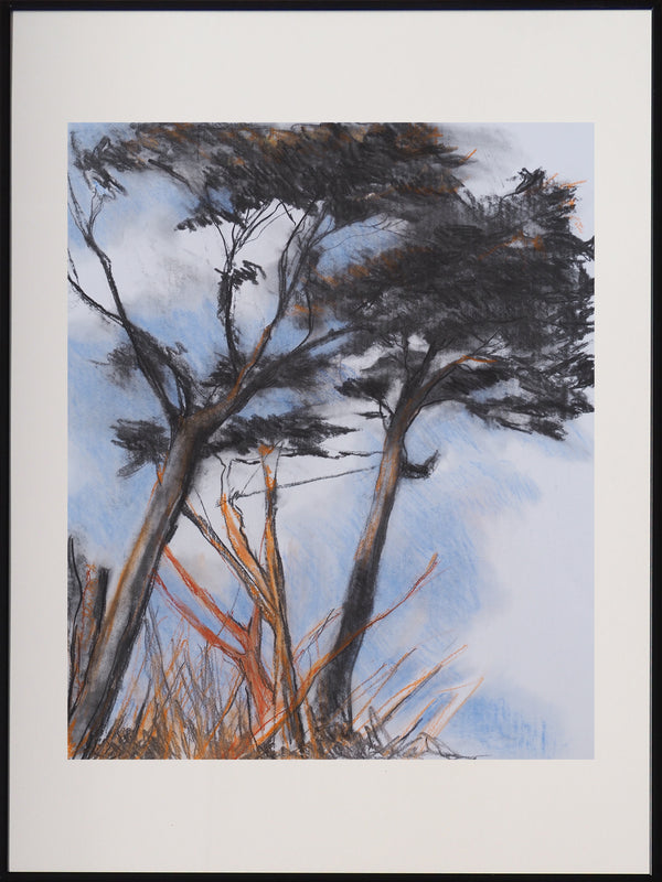 Man Ray's pines in Guethary - Caroline Jardin